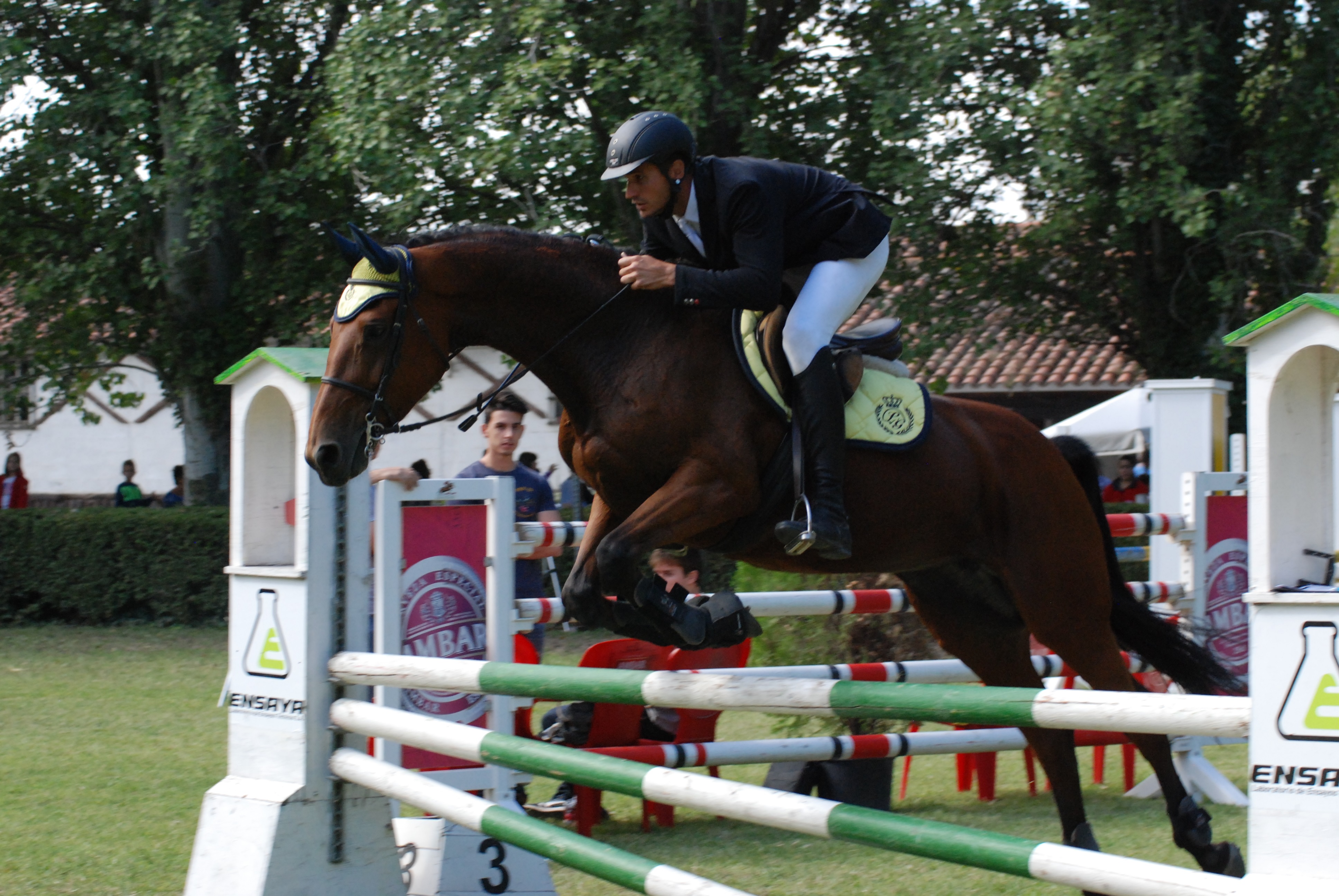 CSN Pilar 2015