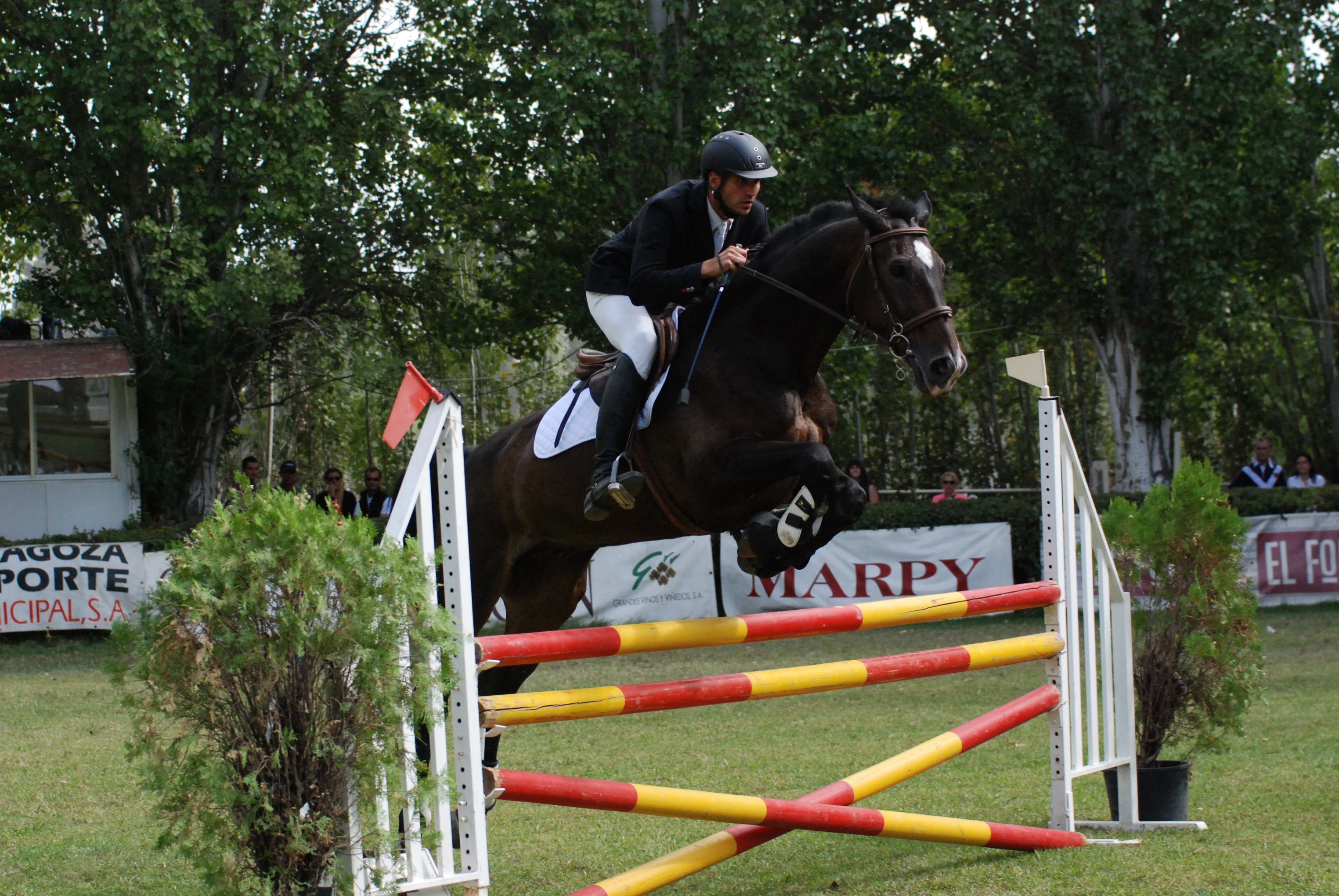 CSN Pilar 2015