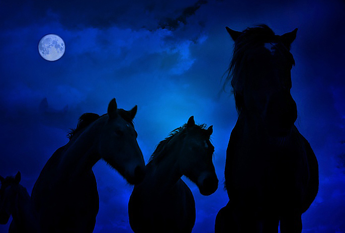 Paseo nocturno a caballo con luna llena